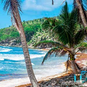 Making Your Destination Wedding Legal Without The Hassle