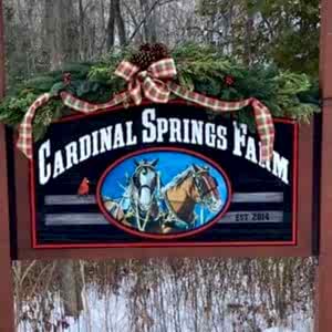 Cardinal Springs